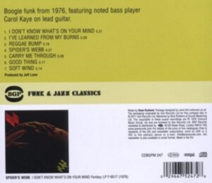 Spider's Webb - I Don't Know What's On Your Mind in der Gruppe CD / Pop-Rock bei Bengans Skivbutik AB (685349)