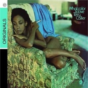 Callier terry - What Color Is Live in der Gruppe CD / Jazz/Blues bei Bengans Skivbutik AB (687462)