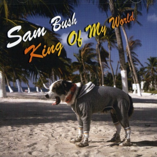 Bush Sam - King Of My World in der Gruppe CD / Country bei Bengans Skivbutik AB (687950)
