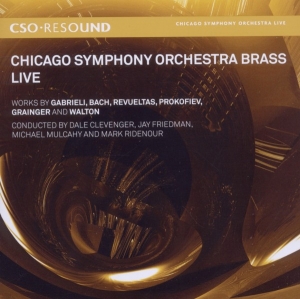 Chicago Symphony Orchestra - Live in der Gruppe CD bei Bengans Skivbutik AB (689234)