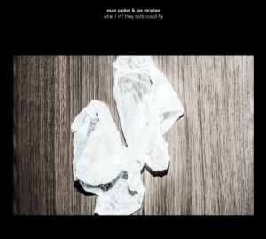 Parker Evan & Joe Mc Phee - What/If/They Both Could Fly in der Gruppe CD / Jazz/Blues bei Bengans Skivbutik AB (690067)