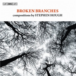 Stephen Hough - Broken Branches in der Gruppe CD bei Bengans Skivbutik AB (691656)