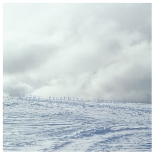 Twiggy Frostbite - Through Fire (Mediabook) in der Gruppe CD bei Bengans Skivbutik AB (691927)
