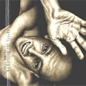 Infernal Poetry - Beholding The Unpure in der Gruppe CD / Hårdrock/ Heavy metal bei Bengans Skivbutik AB (692555)