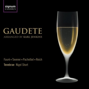 Tenebrae - Gaudete in der Gruppe Externt_Lager / Naxoslager bei Bengans Skivbutik AB (693281)