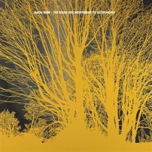 Nada Surf - The Stars Are Indifferent To Astron in der Gruppe CD / Pop-Rock bei Bengans Skivbutik AB (694509)