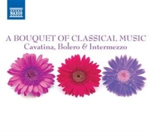 Various Artists - A Bouquet Of Classical Music in der Gruppe CD bei Bengans Skivbutik AB (695275)
