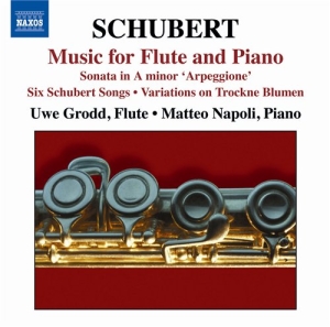Schubert - Flute And Piano Music in der Gruppe CD bei Bengans Skivbutik AB (696092)