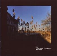 The Cinematic Orchestra - Ma Fleur in der Gruppe CD bei Bengans Skivbutik AB (696568)
