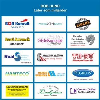 Bob Hund - Låter Som Miljarder in der Gruppe CD / Bestseller bei Bengans Skivbutik AB (697751)