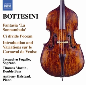Bottesini - Chamber And Vocal Works in der Gruppe Externt_Lager / Naxoslager bei Bengans Skivbutik AB (698085)