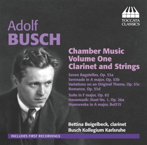 Busch - Chamber Music in der Gruppe Externt_Lager / Naxoslager bei Bengans Skivbutik AB (706883)