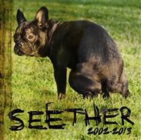 Seether - Seether: 2002 - 2013 in der Gruppe CD bei Bengans Skivbutik AB (706908)