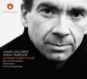 James Gilchrist - Song Cycles in der Gruppe Externt_Lager / Naxoslager bei Bengans Skivbutik AB (708654)