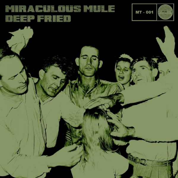 Miraculous Mule - Deep Fried in der Gruppe VINYL / Rock bei Bengans Skivbutik AB (780057)