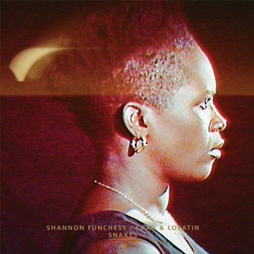Ford And Lopatim Shannon Func - Snakes Flying Dream in der Gruppe VINYL / Pop bei Bengans Skivbutik AB (780671)