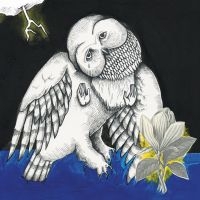 Songs: Ohia - Magnolia Electric Co. (Deluxe Ed.) in der Gruppe -Start Vinyl bei Bengans Skivbutik AB (780812)