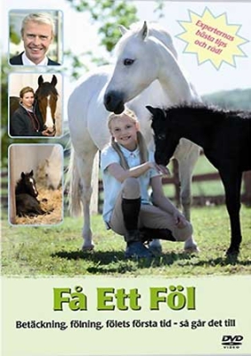 Film - Få Ett Föl in der Gruppe Film / Film DVD bei Bengans Skivbutik AB (825234)