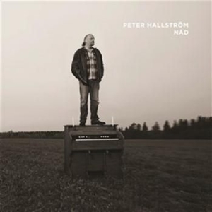 Hallström Peter - Nåd in der Gruppe CD bei Bengans Skivbutik AB (916105)