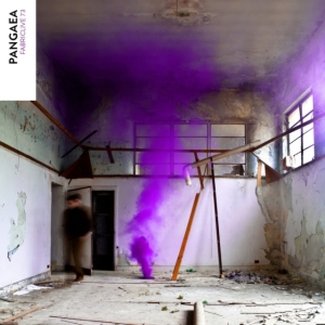 Pangaea - Fabriclive 73 in der Gruppe CD bei Bengans Skivbutik AB (944267)