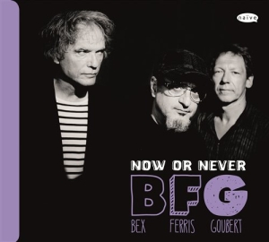 Bex / Ferris / Goubert - Now Or Never in der Gruppe CD / Jazz bei Bengans Skivbutik AB (945604)