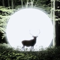 Lite - Installation in der Gruppe CD bei Bengans Skivbutik AB (946581)