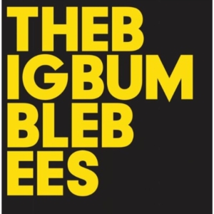 Big Bumble Bees The - The Big Bumble Bees in der Gruppe CD bei Bengans Skivbutik AB (946714)
