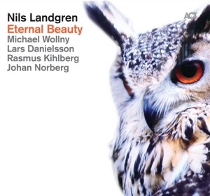 Nils Landgrenmichael Wollny Johan - Eternal Beauty in der Gruppe cdonuppdat / CDON Jazz klassiskt NX bei Bengans Skivbutik AB (950732)