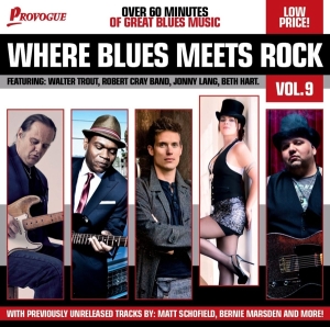 Various - Where Blues Meets Rock 9 in der Gruppe CD / Rock bei Bengans Skivbutik AB (950927)