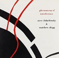 Dalachinsky Steve & Matthew Shipp - Phenomena Of Interference in der Gruppe CD bei Bengans Skivbutik AB (983329)