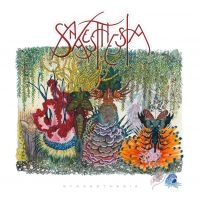 Synaesthesia - Synaesthesia in der Gruppe CD / Pop-Rock bei Bengans Skivbutik AB (983530)