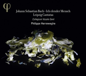 Bach - Ich Elender Mensch in der Gruppe CD bei Bengans Skivbutik AB (985897)