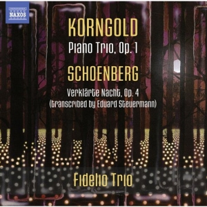 Korngold / Schoenberg - Piano Trios in der Gruppe Externt_Lager / Naxoslager bei Bengans Skivbutik AB (986936)