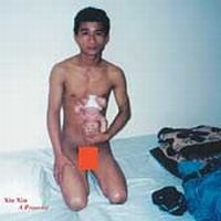 Xiu Xiu - A Promise in der Gruppe CD / Pop-Rock bei Bengans Skivbutik AB (989998)