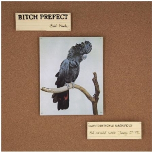 Bitch Prefect - Bird Nerds in der Gruppe VINYL / Pop bei Bengans Skivbutik AB (992811)