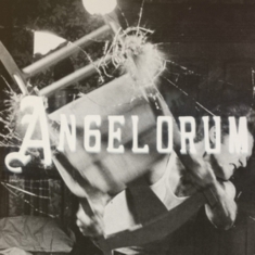 Apollo James - Angelorum