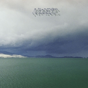 Modest Mouse - Fruit That Ate Itself