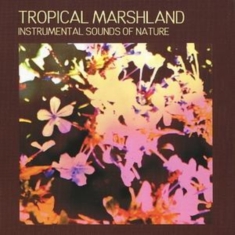 Instrumental Sounds Of Nature - Tropical Marshland