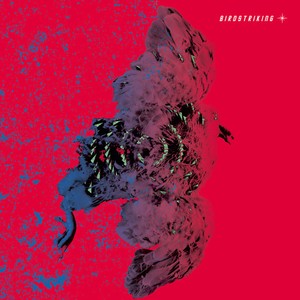 Birdstriking - Birdstriking