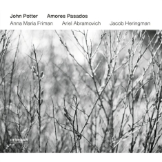 Anna Maria Friman Ariel Abramovich - Amores Pasados