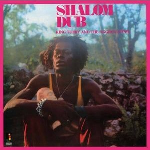 King Tubby And The Aggrovators - Shalom Dub