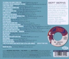 Various Artists - Mr Success: The Bert Berns Story Vo