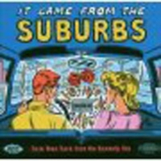 Various Artists - It Came From The Suburbs: Rare Teen