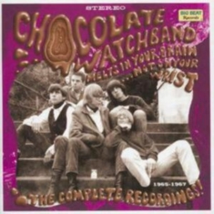 Chocolate Watchband - Melts In Your Brain...Not On Your W