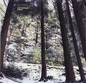 Stein And Mari - Daydream Twin (Vinyl)
