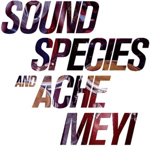 Soundspecies And Ache Meyi - Soundspecies And Ache Meyi