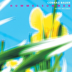 Conrad Bauer - Hummelsummen