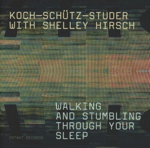 Koch-Schütz-Studer With Shelley Hir - Walking And Stumbling Through Your