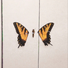 Paramore - Brand New Eyes