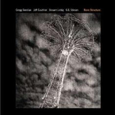 Gregg Bendian - Bone Structure